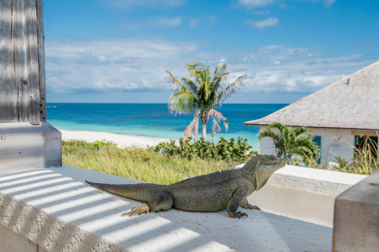 Ambergris Cay Private Island All Inclusive - Pls Island Hopper Flight Included Big Ambergris Cay Exterior photo